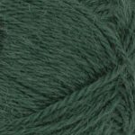 8581 Deep Forest Green (Ut)